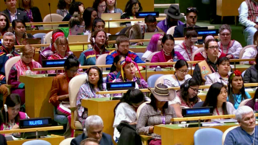 Over tusen deltakerere er ventet til den 24. sesjonen av FNs permanente forum for urfolkssaker (UNPFII) ved FNs hovedkvarter i New York. Her et bilde fra et tidligere forum.
 Foto: UN