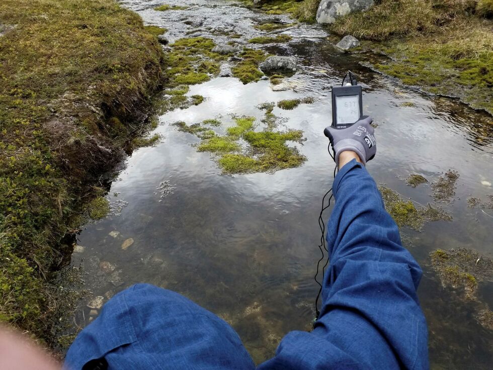 Kilden i Bærvika er en artesisk vannkilde. Det innebærer at trykk gjør at vann hele tiden strømmer opp, slik at det ikke er nødvendig å pumpe opp vannet.
 Foto: Ruden AS