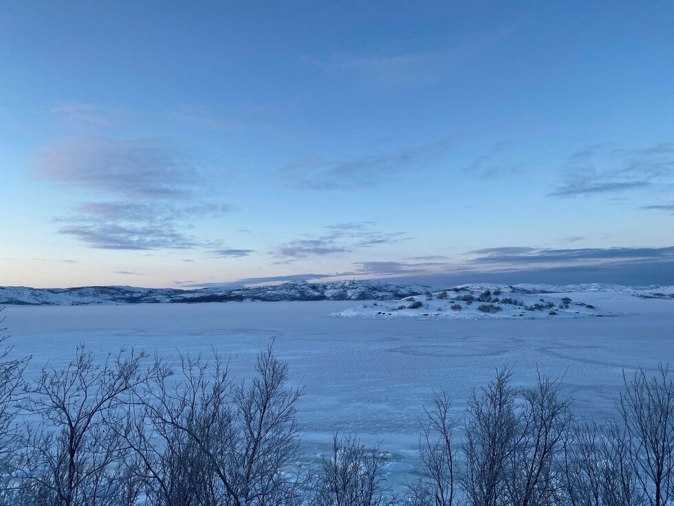 Det er i vår tid svært sjelden at fjorden fryser fra Buholmen og ut Kjøfjorden til Strømsnes. Men i år er det langt mer is enn vanlig overalt i Sør-Varangers fjorder.
 Foto: Hallgeir Henriksen