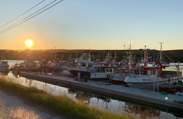 Folk, fisk og fellesskap