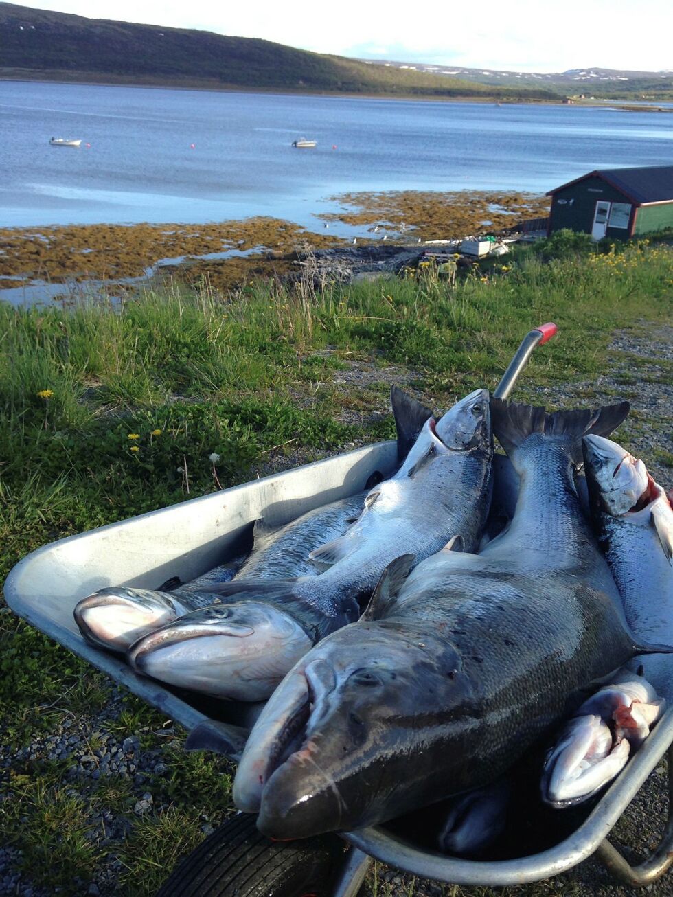 Biv­du vil ha grans­king av lakse­for­valt­ning­en før even­tu­elt fle­re inn­stram­nin­ger.
 Foto: Irene Andersen