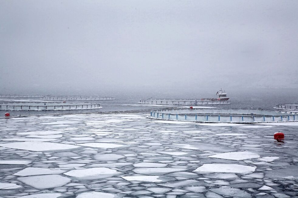 Sametinget går mot at det etableres oppdrettsanlegg ved Jernøya i Porsangerfjorden, og ber om at Finnmark fylkesutvalg omgjør sitt vedtak om å gi tillatelse til oppdrett her.
 Foto: Illustrasjon