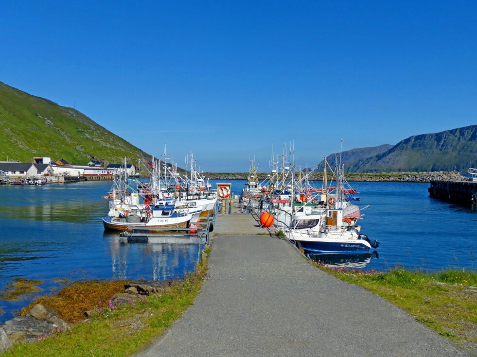 Gerd Marianne gleder seg over at flere unge har begynt med sjarkfiske i Skarsvåg de siste årene. – Fisket har alt å si for ei bygd som vår. Alt er bygd opp omkring fisket, sier hun.
 Foto: Geir Johansen