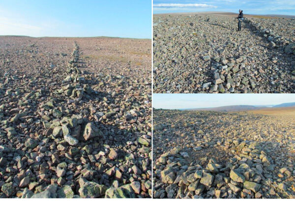 Den lange vandringen – reinsdyr og mennesker gjennom 500.000 år