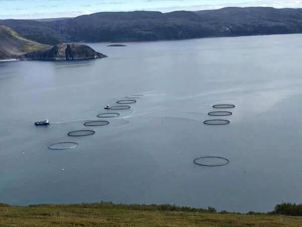 Kan bli en ny runde om SalMars etablering i Laksefjorden