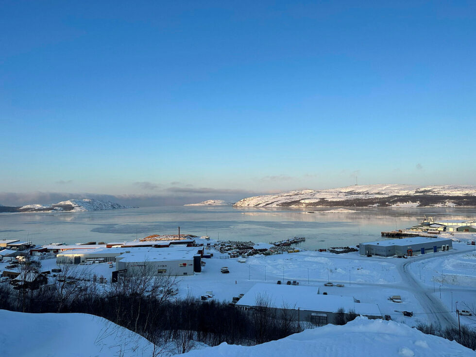 Bøkfjorden utenfor Kirkenes er et uforståelig navn, all den tid det ikke finnes bøk i andre deler av Norge enn i og ved Vestfold.
 Foto: Hallgeir Henriksen