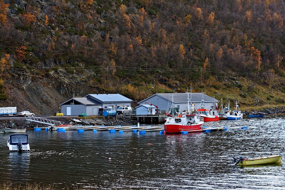 Mandag ble det bestemt at fiskebruket i Vestertana får nye eiere, og det er Storbukt Fiskeindustri AS fra Honningsvåg som overtar bruket i morgen torsdag.
 Foto: Arkiv