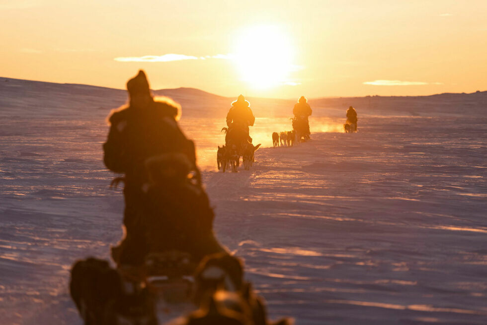 Holmen Husky AS fikk ikke dispensasjon til å ha et anlegg for opplevelseskjøring med hund på Beaskáđas, rett nord for Suolovuopmi fjellstue. De vil anke vedtaket.
 Foto: privat