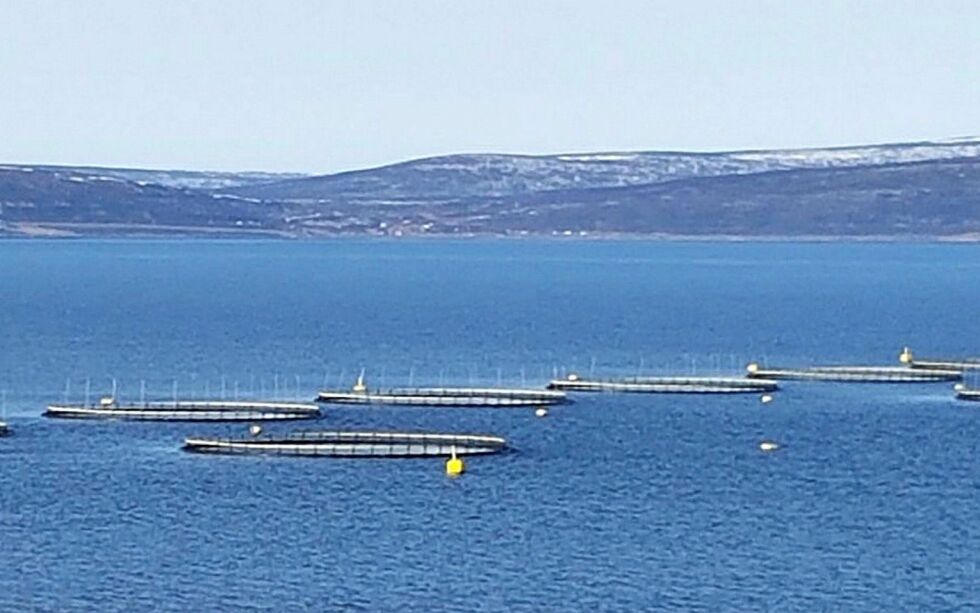 Det er åp­net for salg av nær fem tonn opp­dretts­ka­pa­si­tet i Finn­mark un­der auk­sjo­nen som nå på­går.
IL­LUST­RA­SJONS­FO­TO: TOR­BJØRN IT­TE­LIN