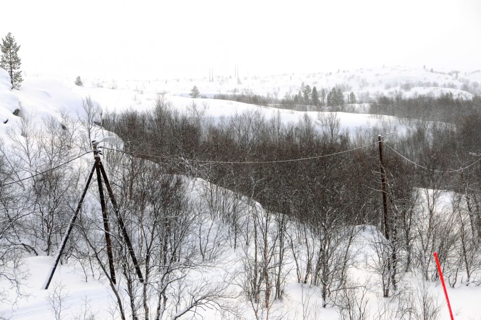 Til tross for at 110 av 170 pærer i lysløypa er skiftet ut, og det var lys i stort sett alle for kort tid siden, var det midt i forrige uke 12 mørke stolper i lysløypa fra Kirkenes til Bjørnevatn, med sideløyper.
 Foto: Hallgeir Henriksen
