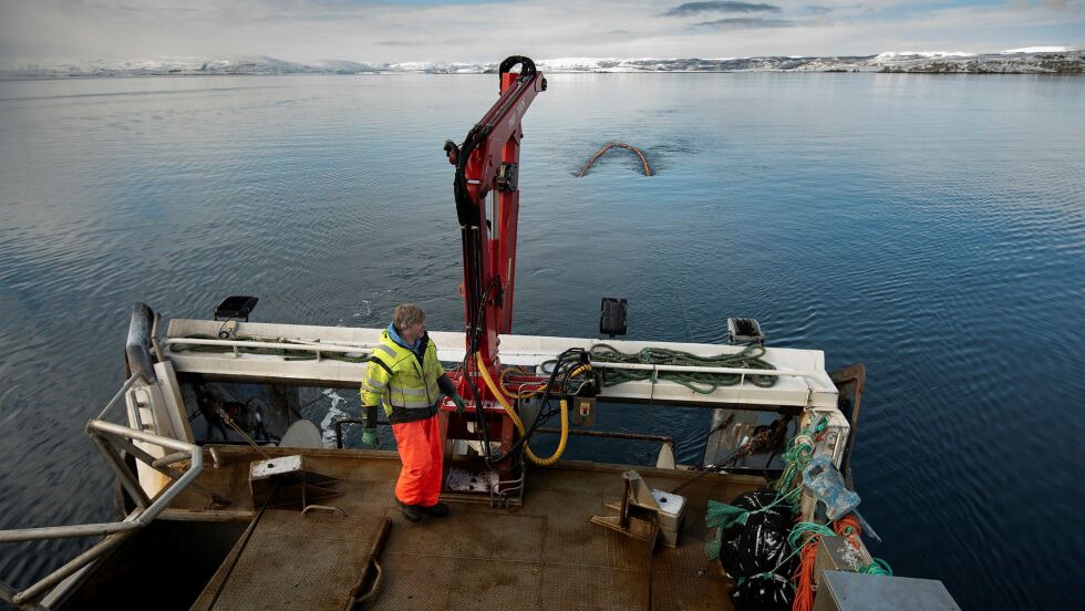 HI anbefaler at kun ytre del av Porsangerfjorden åpnes for bunntråling. Bildet er fra tokt i 2019 der HI kartla rekebestanden i tre fjorder i Nord-Troms og Finnmark.

Fotograf: Gunnar Sætra/ Havforskningsinstituttet.
 Foto: Gunnar Sætra/ Havforskningsins