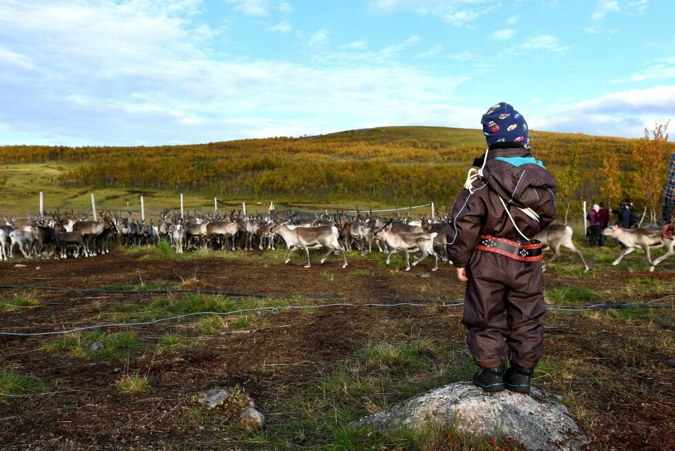 Samisk barneforum blir opprettet med intensjon om at samiske barn og unge blir hørt. Forumet er ment å være en arena der barn og unge kan bidra med innspill og være med på å utvikle et godt skolemiljø. Foto: Irene Andersen
