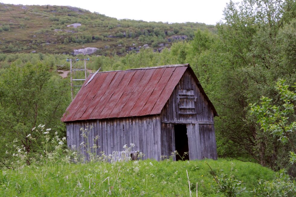Med alt det grønne rundt seg vil noen kunne ane skjønnheten i denne gamle høyløa i Skoltebyen i Neiden.
 Foto: Hallgeir Henriksen