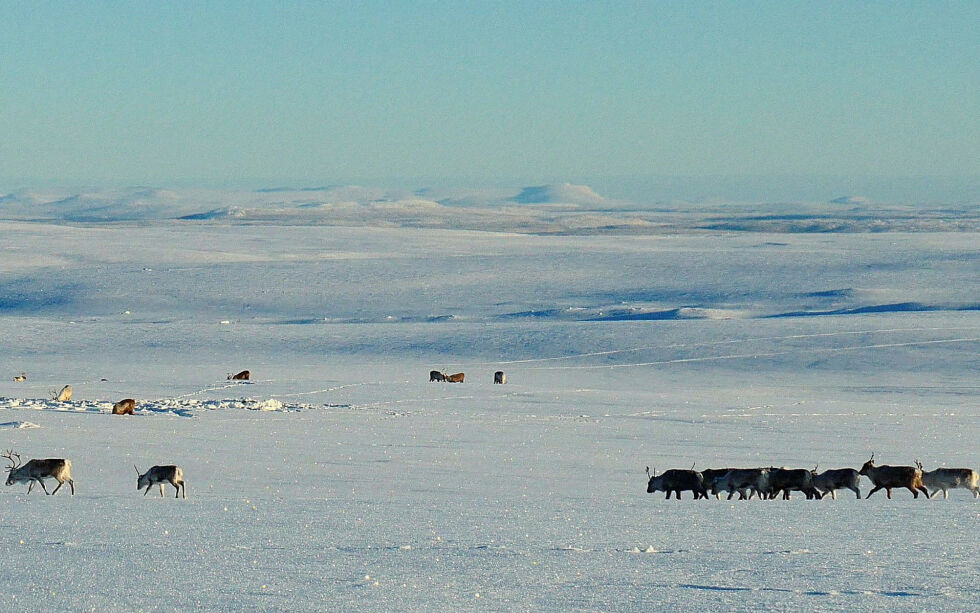 Illustrasjonsfoto: Stein Torger Svala
