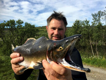 Fra russiske elver til økologisk trussel i nord