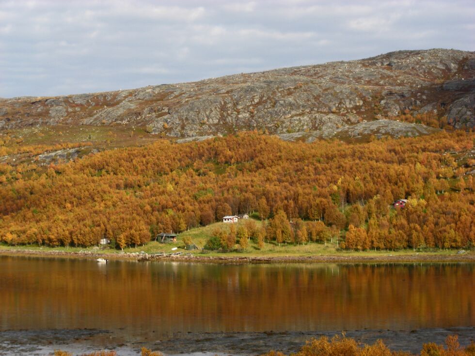 Den svenske forfatteren Anders Källberg har bedt Sør-Varanger kommune om hjelp i sitt arbeid med norske øyer. Her er bilde fra Skogerøya og Antilas eiendom i Sør-Leirvågen, som ble fraflytta på 1950-tallet.
 Foto: Hallgeir Henriksen