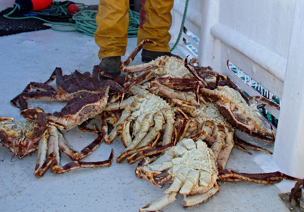 Stor nedgang i fiskeflåten i flere kommuner i vestfylket er blant årsakene til at man i Vest-Finnmark Kystfiskarlag ønsker at også fartøy fra vest skal få slippe til i det kvoteregulerte fisket etter krabber i øst
 Foto: Torbjørn Ittelin