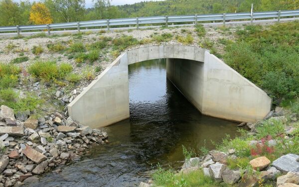 Lager vandringsvei for fisken