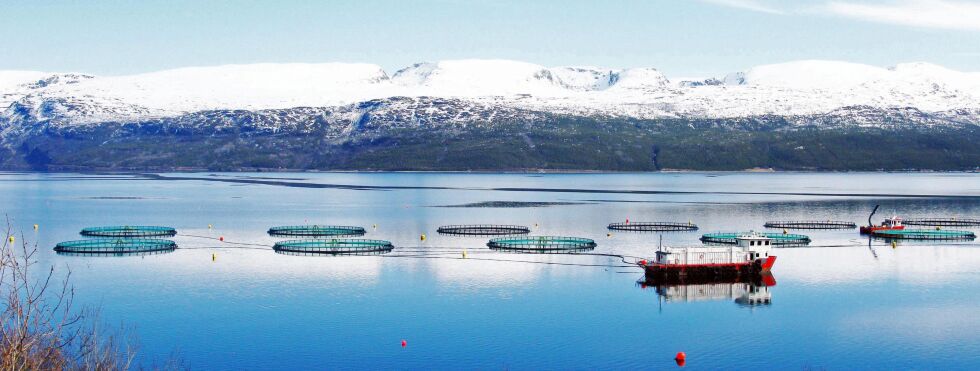 OPPLÆRING:
Behov for fagfolk innen akvakultur gjør at Finnmark fylkeskommune i et samarbeid med Grieg Seafood ønsker å gi bedre opplæring innenfor dette feltet.
 Foto: Elin Wersland