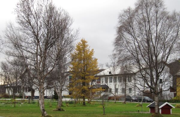 Tana videregående skole sikrer fremtidens landbruk i Finnmark