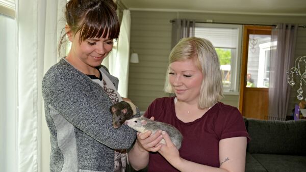 Kjæledyr dumpet ute i naturen