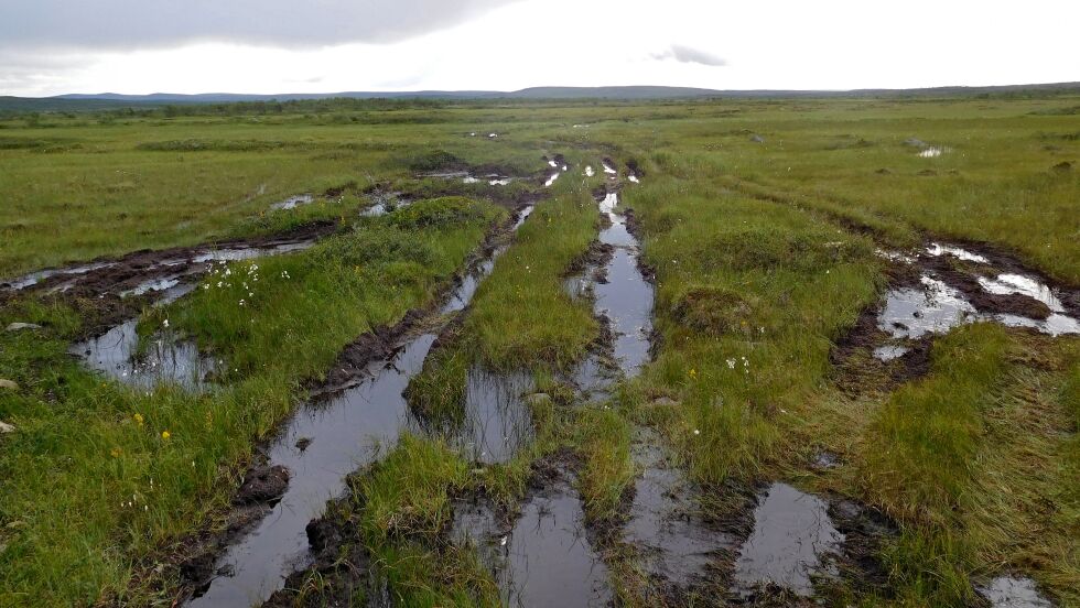 Mye regn den siste tiden har gjort mange barmarksløyper bløte, som denne løypa i området Jeaggas i Tana kommune.
 Foto: Statens Naturoppsyn