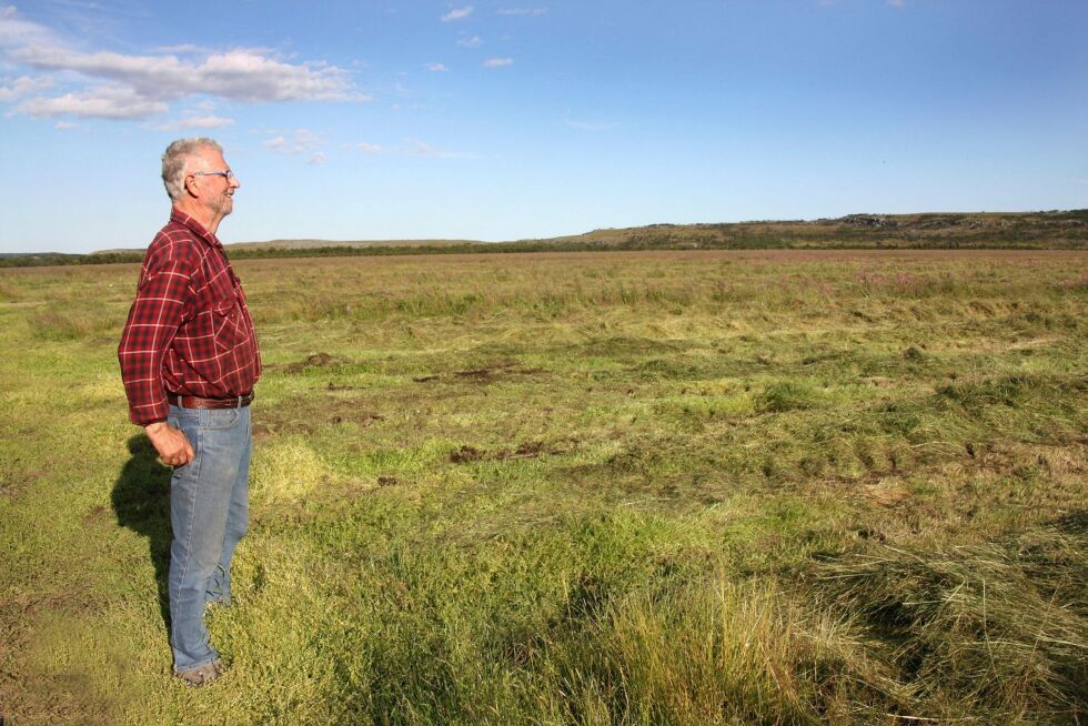 Sauebonden skuer utover noe av området innerst på Angsneset i Nesseby som han overtok i 1995. Slåttonna foregår her noe senere enn andre steder i kommunen, fordi myrjorda er kald og sein.
 Foto: Mari-Ann Nlssen