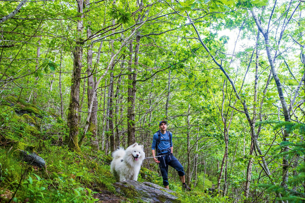 Bruk, na­tur­en, den har ver­ken må­neds­av­gift el­ler åp­nings­ti­der, er oppfordringen fra Norsk Friluftsliv
 Foto: John Petter Nordbø