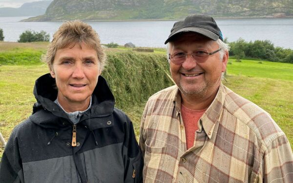 Dårlig høytørk i regnet