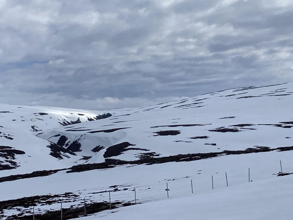 Ifjordfjellet hvor det er planlagt avkjørsel til vindindustriområdet.
 Foto: Per Erik Motrøen