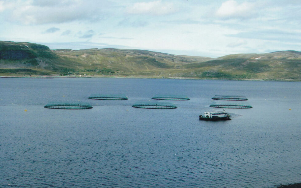 Planene for det nye settefiskanlegget i Hasvik tilsier produksjon av maksimalt 15 millioner settefisk. 
Illustrasjonsfoto