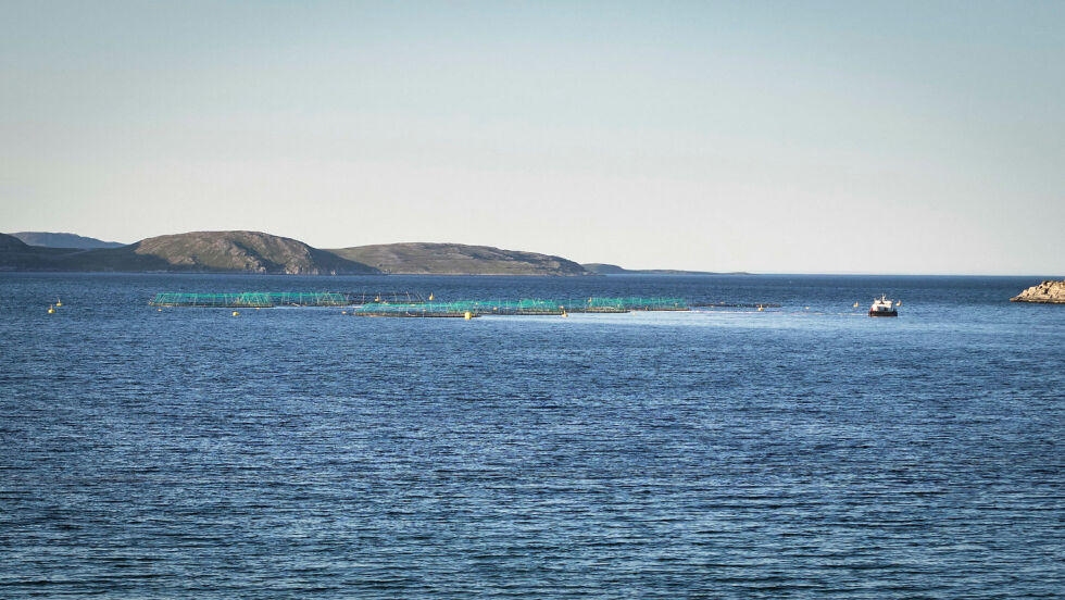 Statsforvalteren i Troms og Finnmark går imot at det avsettes fem nye sjøområder i Nordkapp kommune til lakseoppdrett. Man mener at oppdrett her vil true villaksbestanden både i elver og i Porsangerfjorden. Foto fra Grieg Seafood sitt lakseoppdrettsanlegg i Vedbotn.
 Foto: Geir Johansen