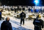 Reinskilling ved  Liidne­beah­­can­gjerdet.