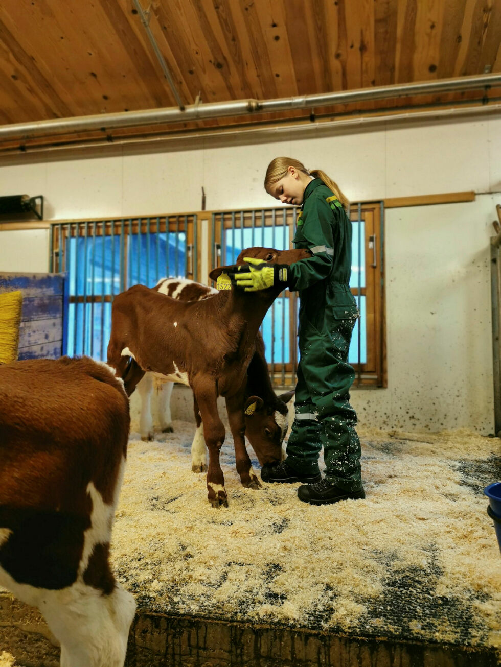 Samhold og respekt for andre levende vesener er en del av læreplanen ved montessoriskolen i Tana.
Foto: Camilla Jakola
