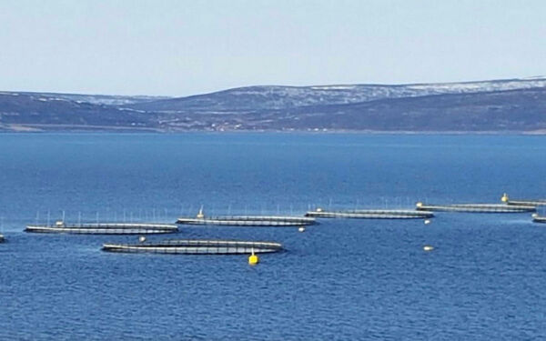 Grønn grunnrenteskatt i havbruket