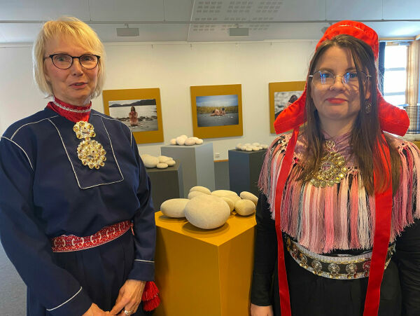 Steinharde ord om vold