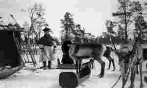 Steinars reise gjennom historien (del 7)
