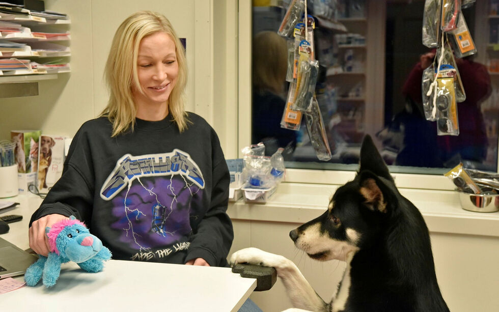 Silje Larsen arbeider i dag som veterinærassistent på Midt Finnmark Dyreklinikk AS. Hun er en av to søkere til stillingen som daglig leder.
 Foto: Irene Andersen