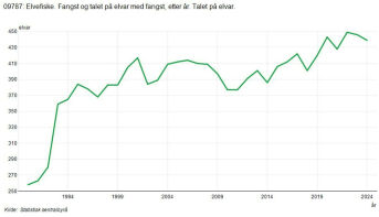 Det ble fangstet i 439 elver i 2024