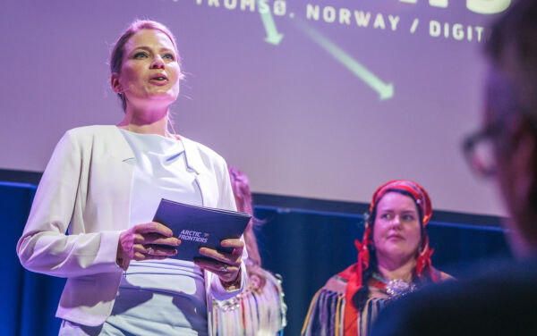Vil se det store bildet
