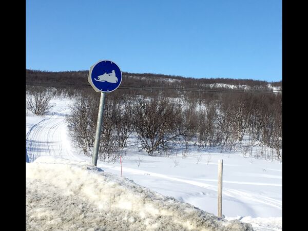 Løypenett for snøskutere i Porsanger