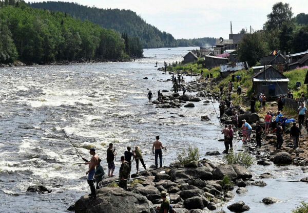 Russelaksen kom ikke «hjem»