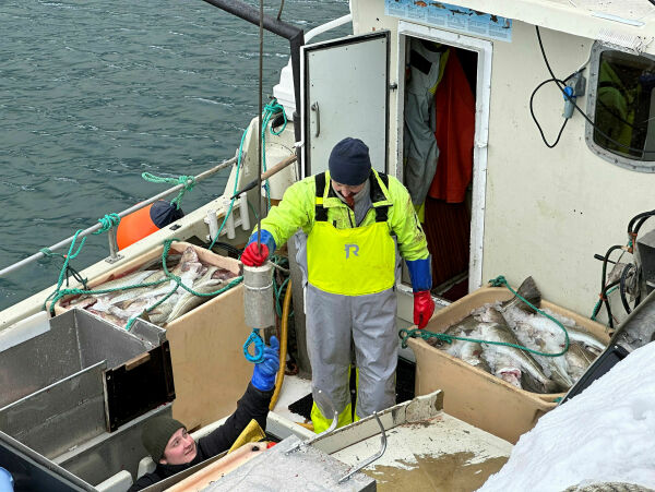 100.000 på to sjøvær