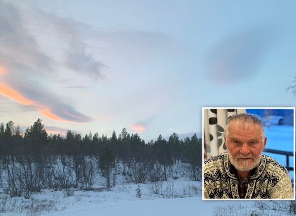 Utedass og veltet furu til besvær!
