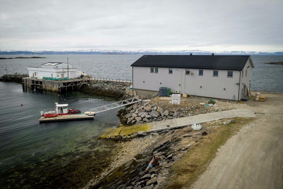 Hav­forsk­nings­in­sti­tut­tet sin base i Holm­fjord, Pors­ang­er­fjord­en.
 Foto: Havforskningsinstituttet