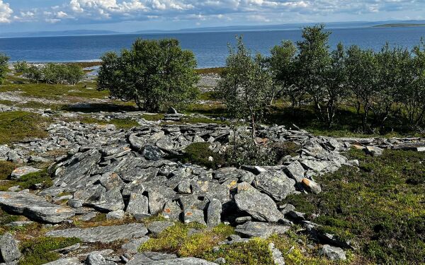 Steinringene på Bringnes