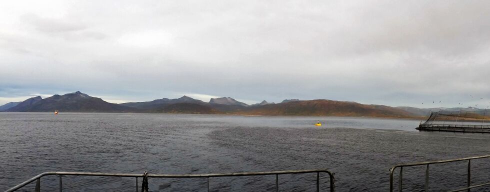 Det er ikke lov til å fiske nærmere enn 100 meter fra oppdrettsanlegg.
 Foto: Nofima