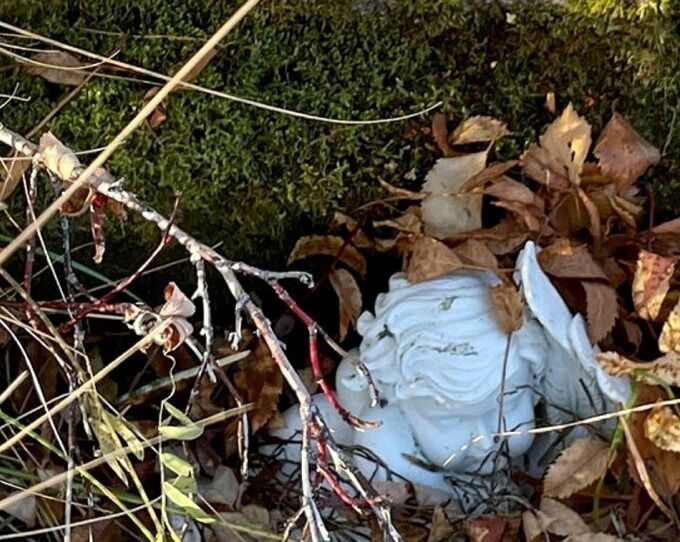 Engelen skulle stått på toppen av gravminnet, men ligger i stedet henslengt i løvet.
 Foto: Birgitte Wisur Olsen