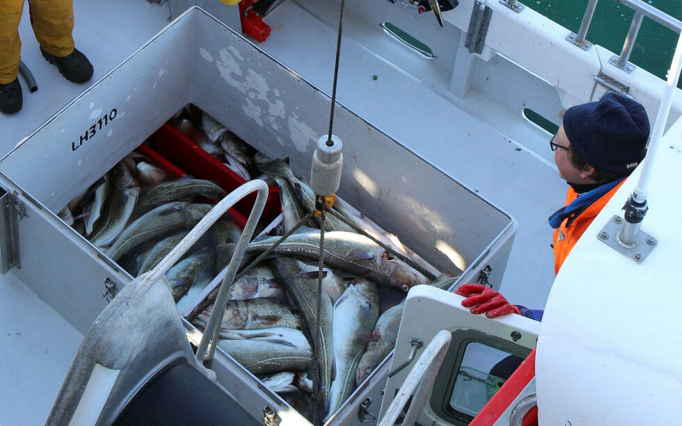 Tre kvinner og tre menn vil få tildelt ekstra kvote gjeldende for neste års fiske. Dette gjelder fiske etter flere forskjellige fiskearter.