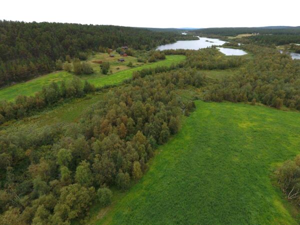 Millionær fra Sveits sprer usannheter i Ságat